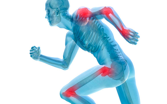 neurodinámica locomotor - Instema, Formación para fisioterapeutas